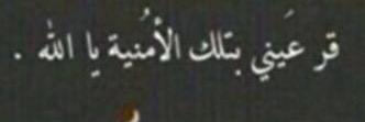 loly_39_'s profile banner image