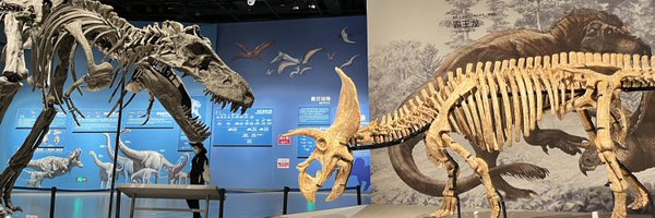 ShuoYang_Lab Profile Banner