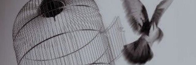 qkeg4's profile banner image