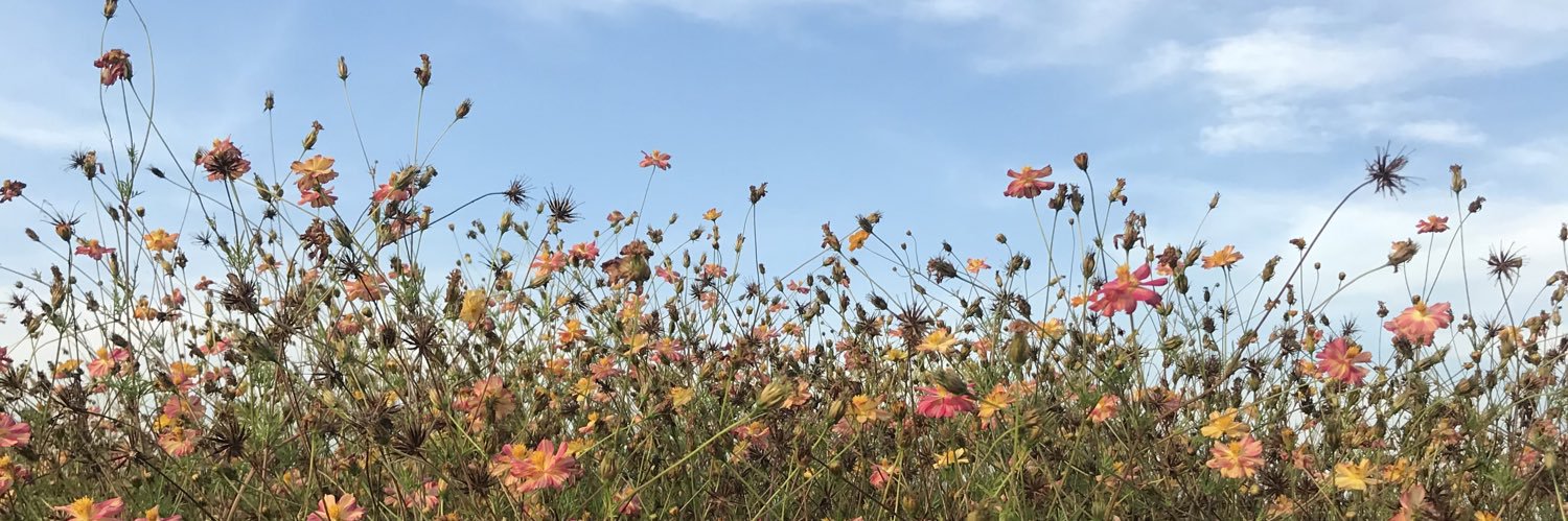 prwtk's profile banner image