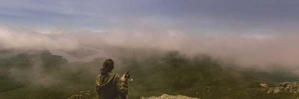 makula613 Profile Banner