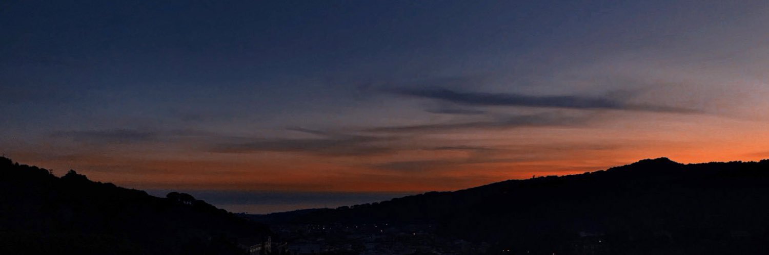 mireia carmona banner