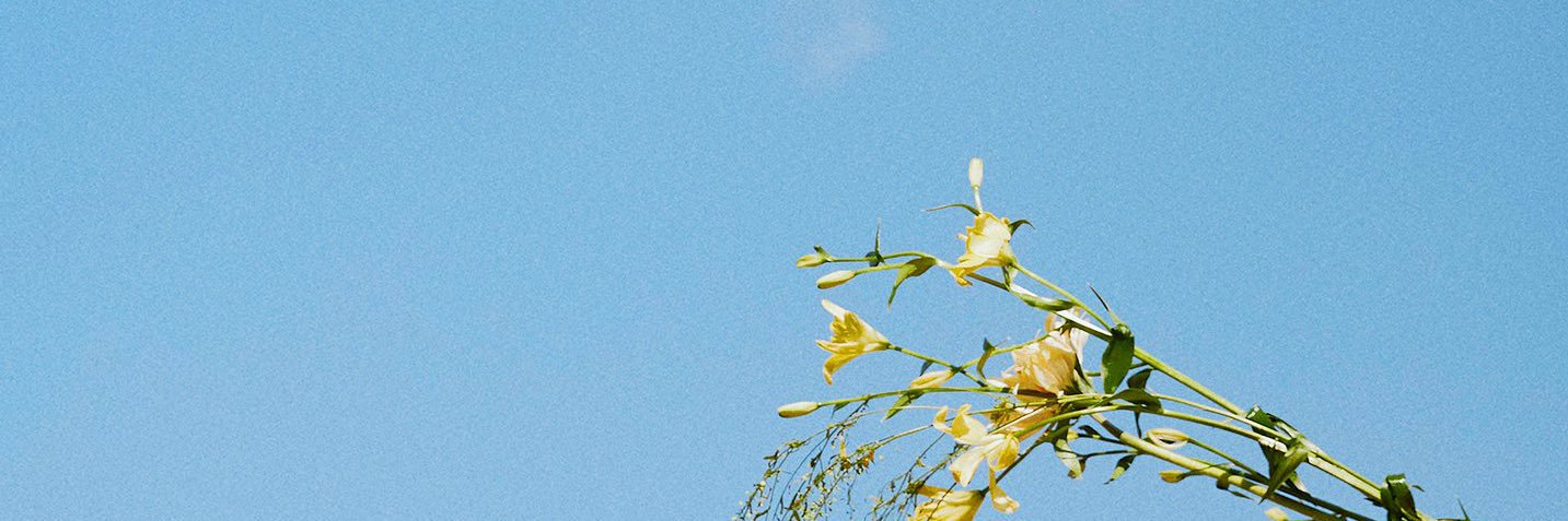 kiminxiu's profile banner image