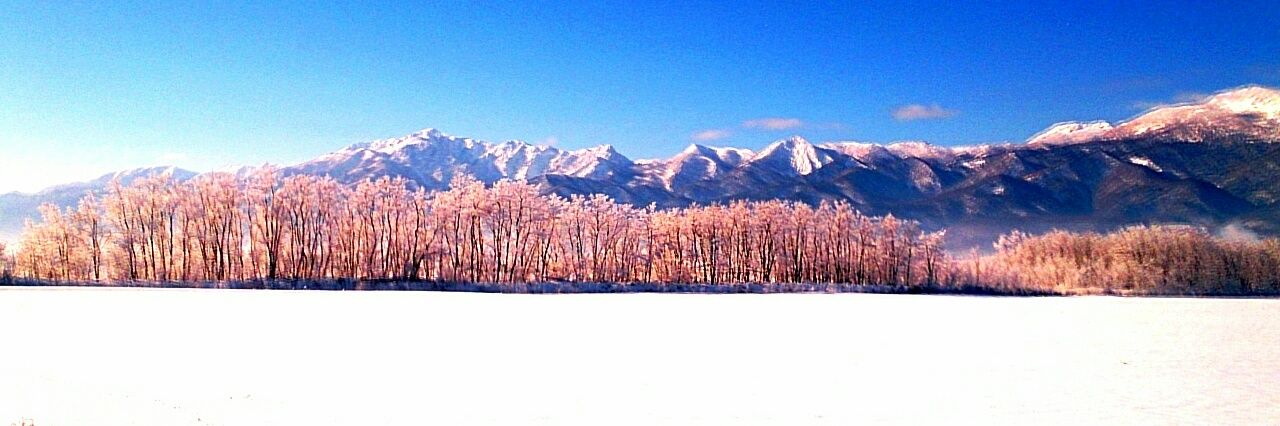 隊長 banner