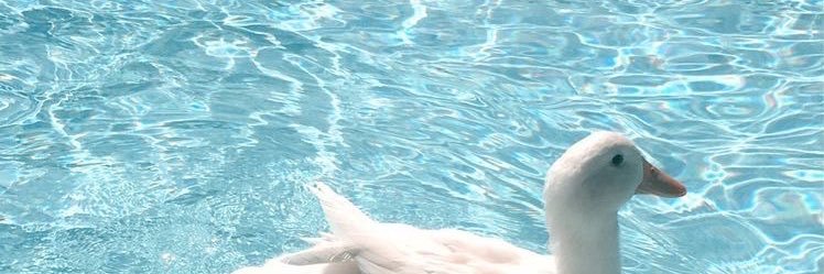 babyyou 💘(ผ่อนได้) banner