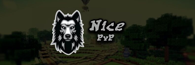 NiceNetW0rk's profile banner image