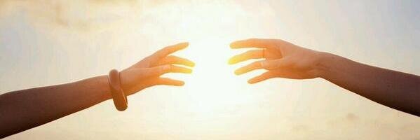 Pharista Profile Banner