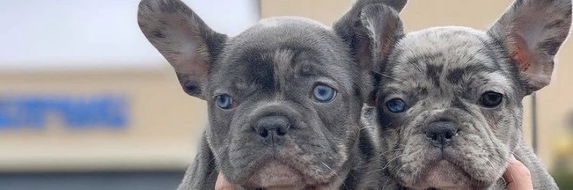 Ҡվղց Ϛվժ 🤙🏽 banner