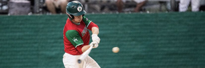 Bayden Hartman banner