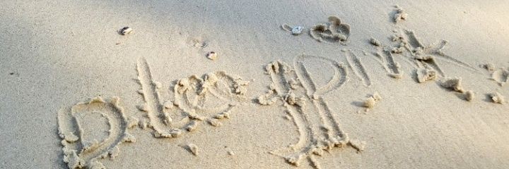 ploypink2626's profile banner image