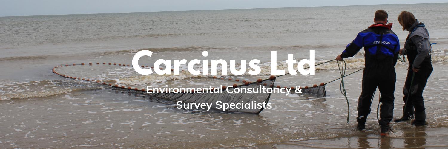 Carcinus Ltd banner