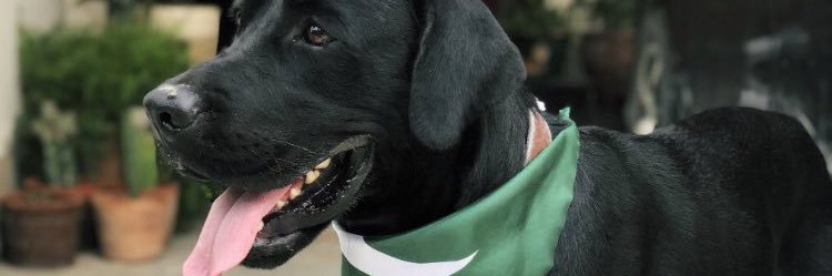 eesha108's profile banner image