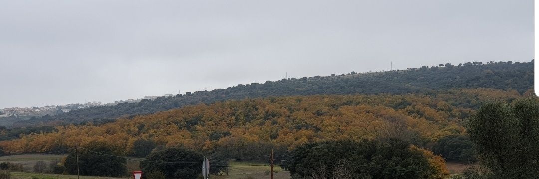 juankypg's profile banner image