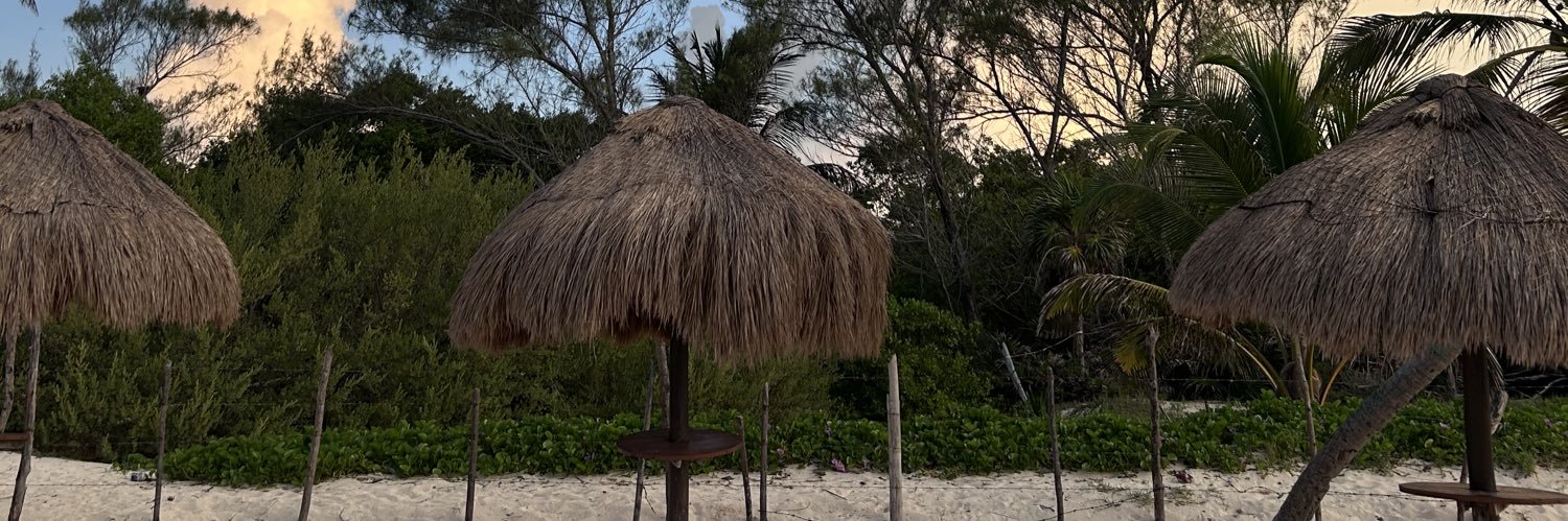 mmonn_ss's profile banner image
