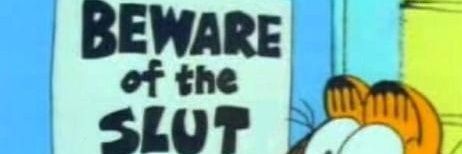ProCatCuddler's profile banner image
