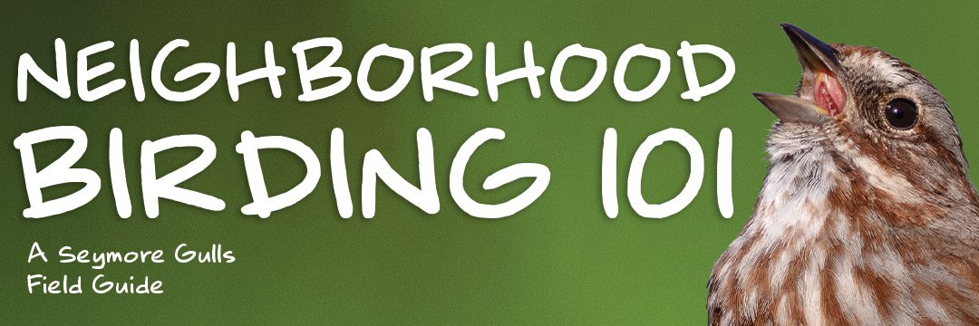pdxbirder's profile banner image
