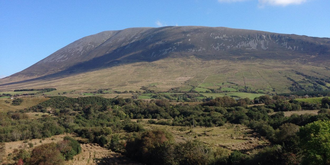 David Gaughan banner