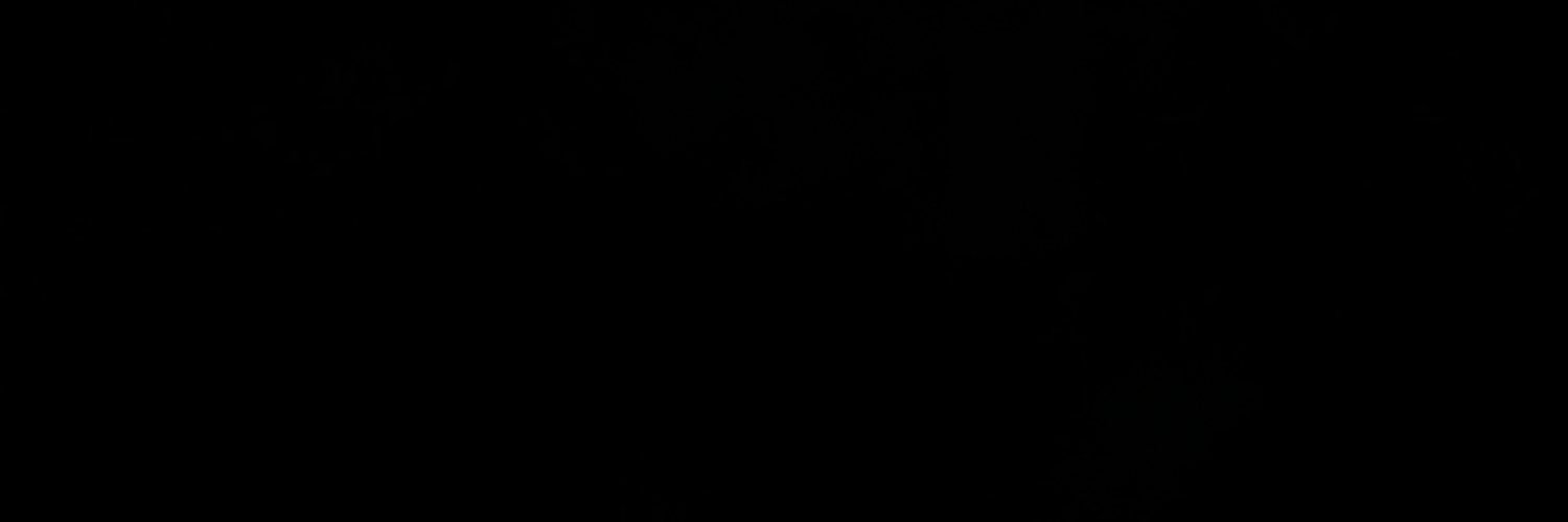 n banner