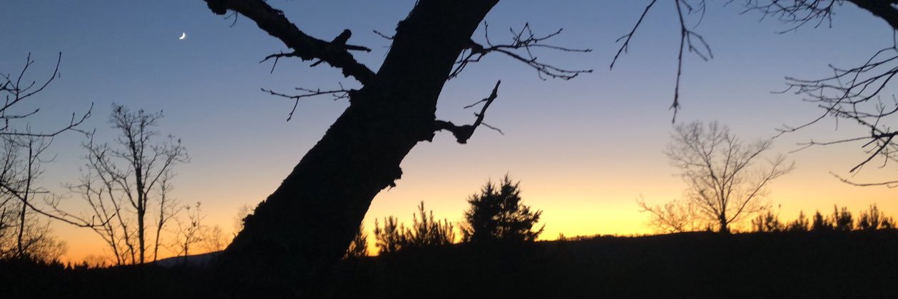 nick_corbit's profile banner image