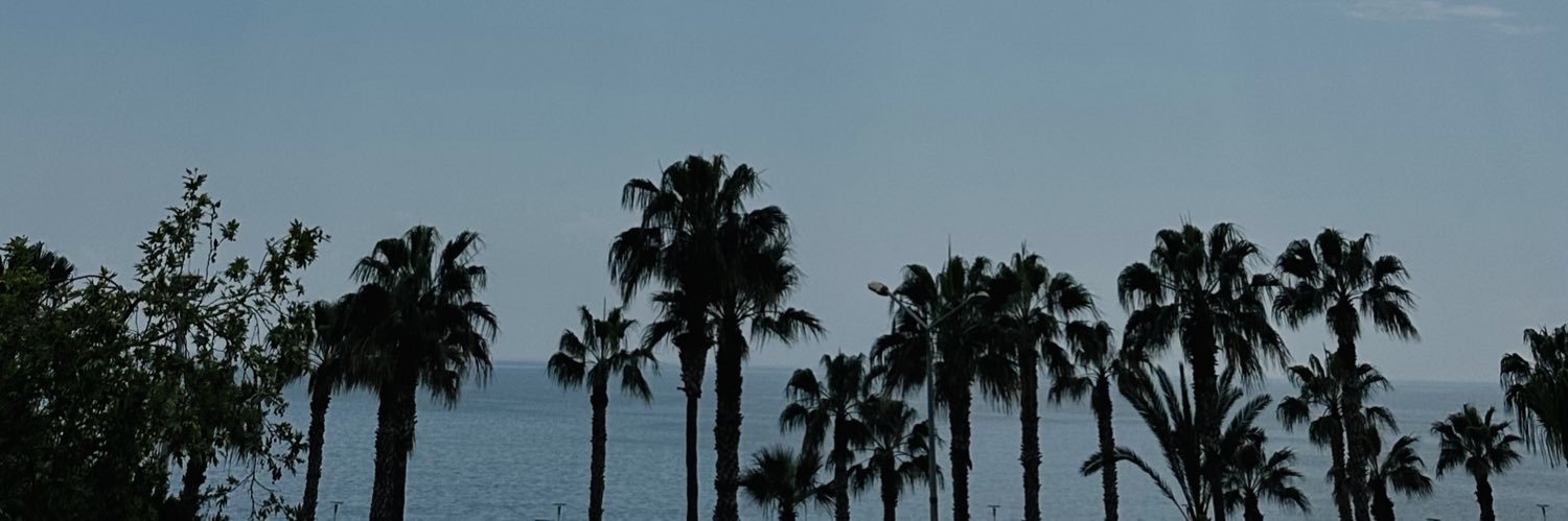 ipekpnarr's profile banner image