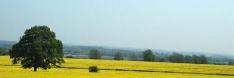 TheOpenDoorCafe's profile banner image