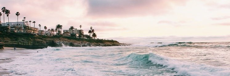 Andrehale_'s profile banner image