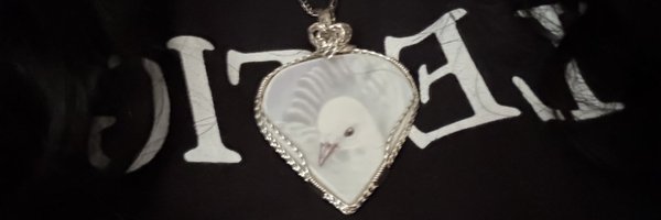 hoodoves Profile Banner