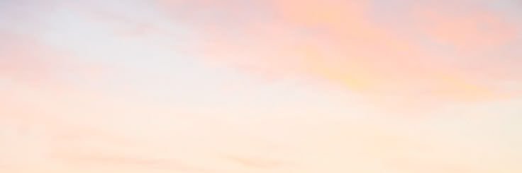cece banner