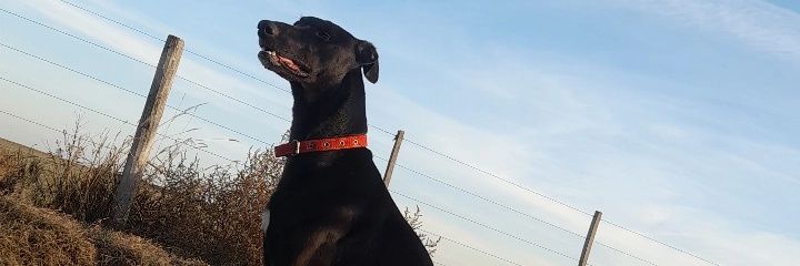 BrianDi75196237's profile banner image