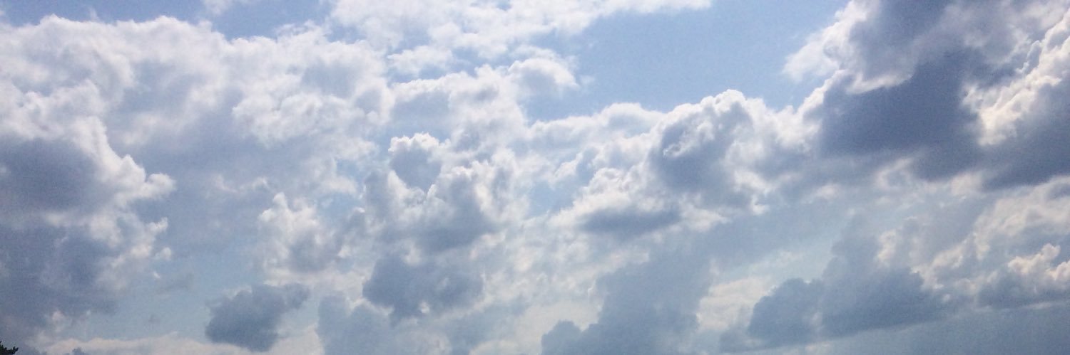 bagonite's profile banner image