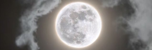 🍂 banner