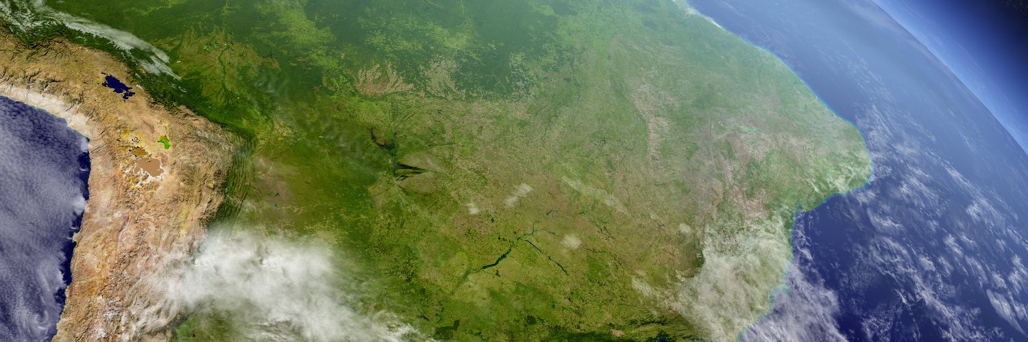 Polyanna Bispo banner