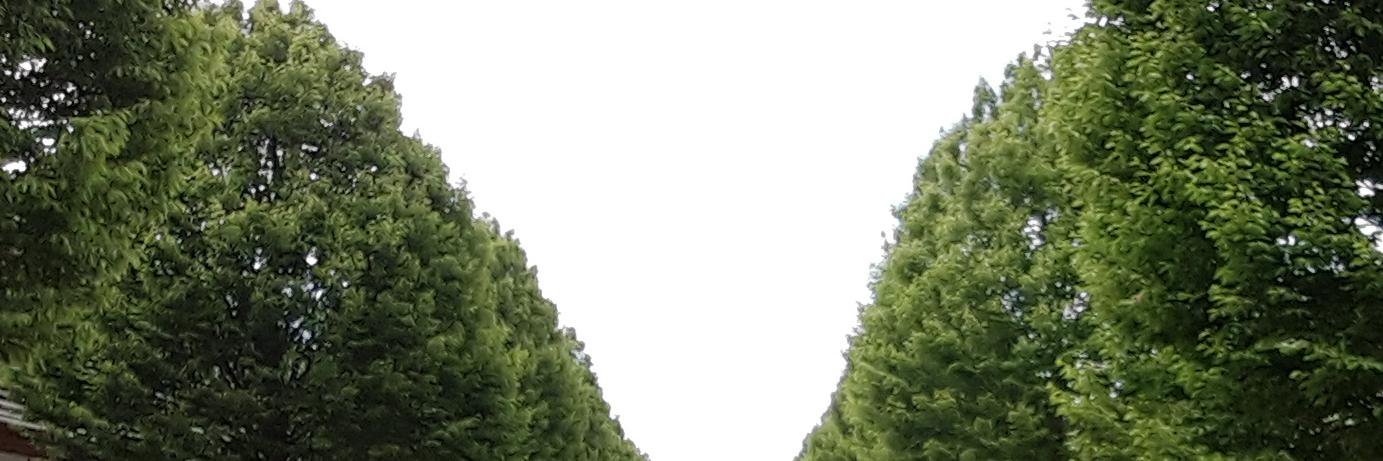 sheisshel's profile banner image