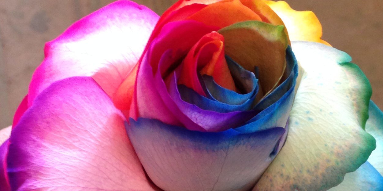 DaisyFair's profile banner image