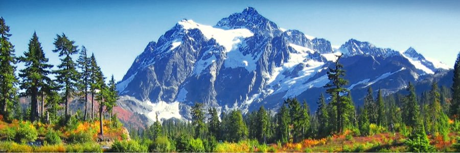 cakezampy's profile banner image