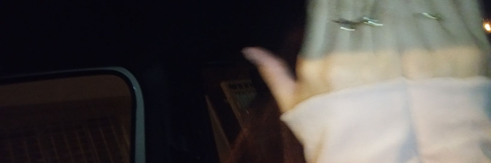 Camargo banner
