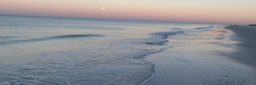 iamdeeda's profile banner image