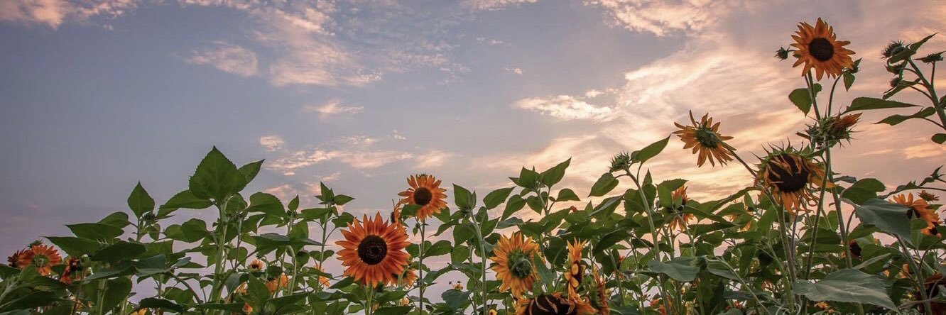 santtbe's profile banner image