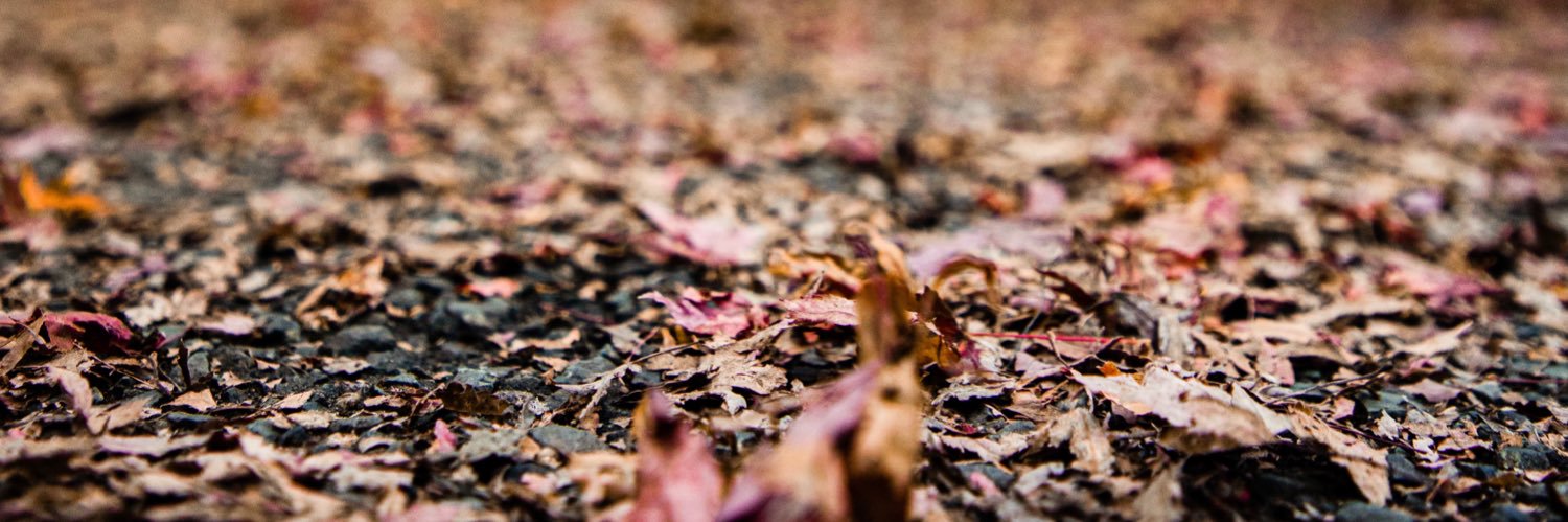 MaRco03l's profile banner image