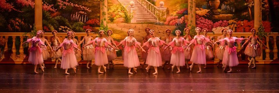 Brighton Ballet banner