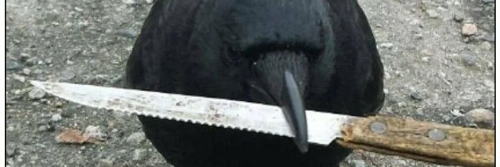 itsheymii's profile banner image