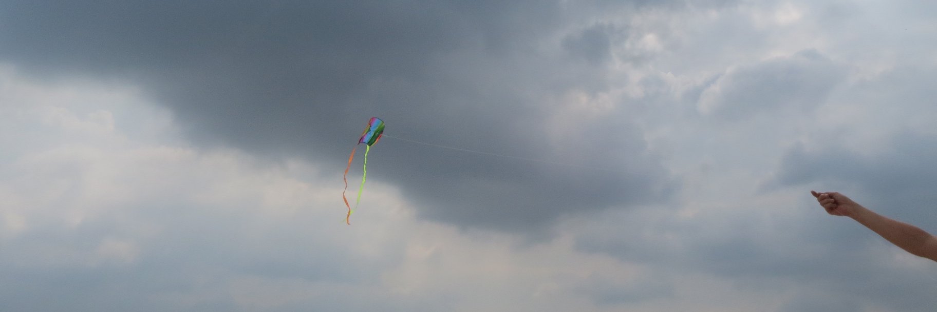 Karin Timmerman banner