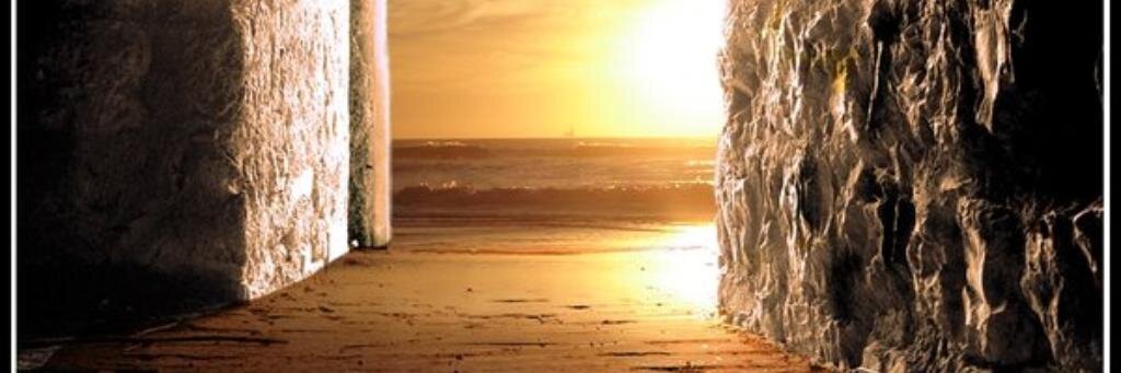 RosadelRio2's profile banner image