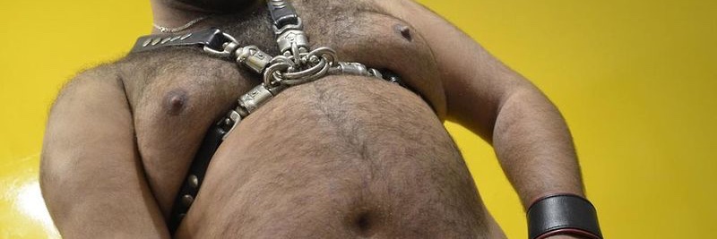 bearCode óÓÒò banner