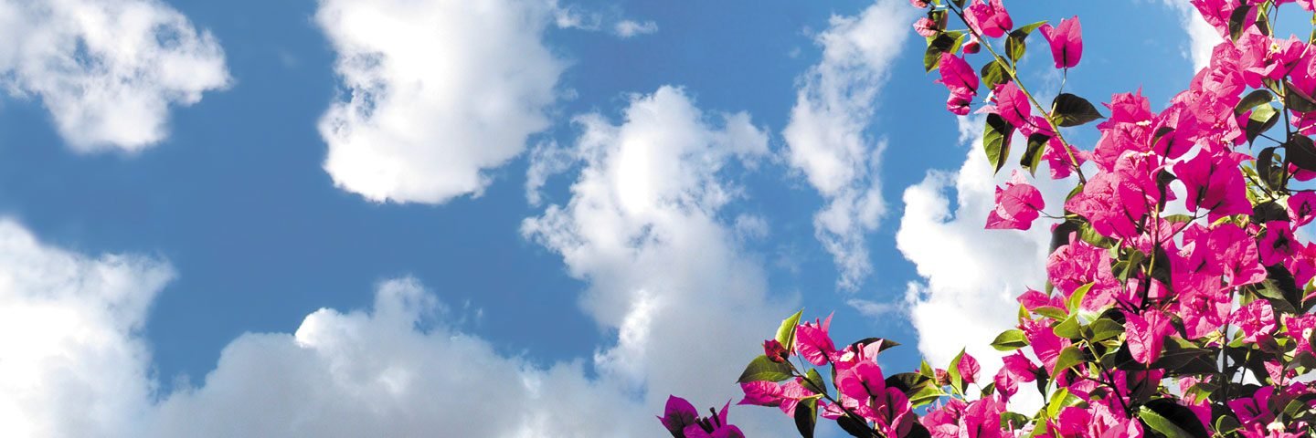 Meghareddy_S's profile banner image