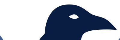 Andrea Sassanelli banner