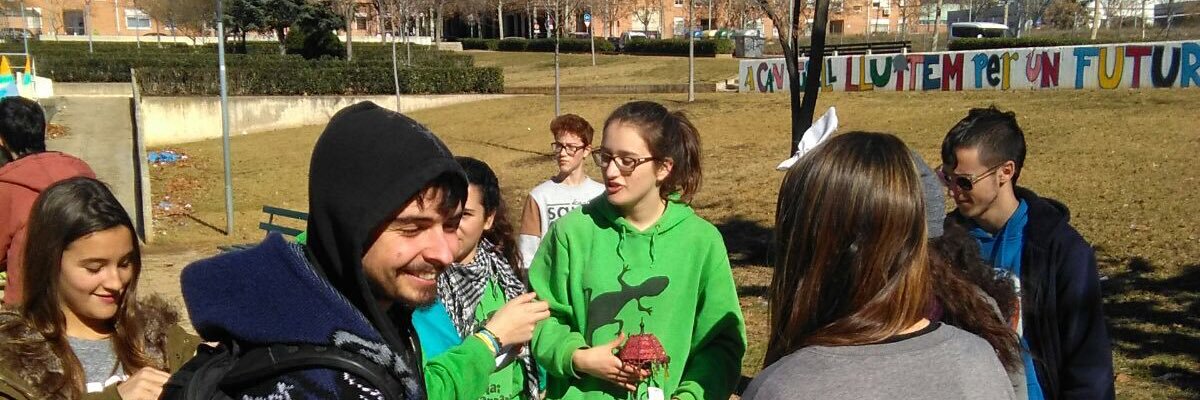 aev_Valles's profile banner image