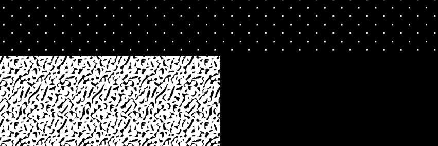 partyzanai's profile banner image