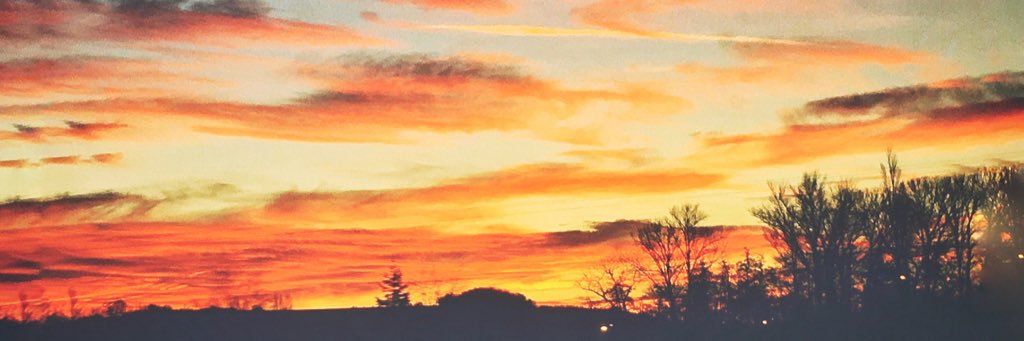 nitrebcent's profile banner image