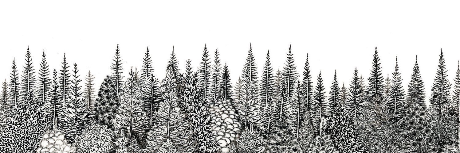 鉱物カレンダー SandTherapy banner